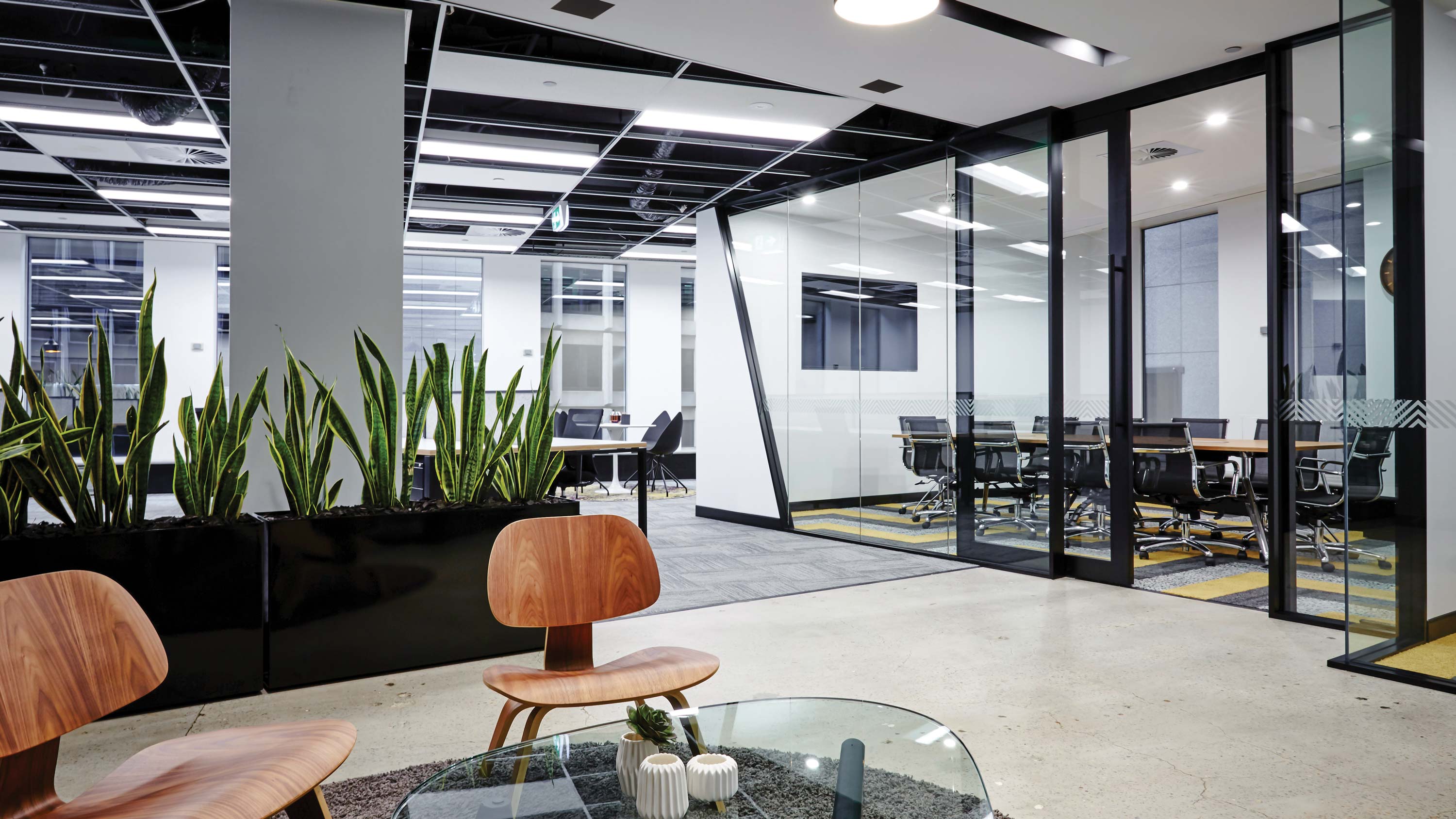 office with bright lighting